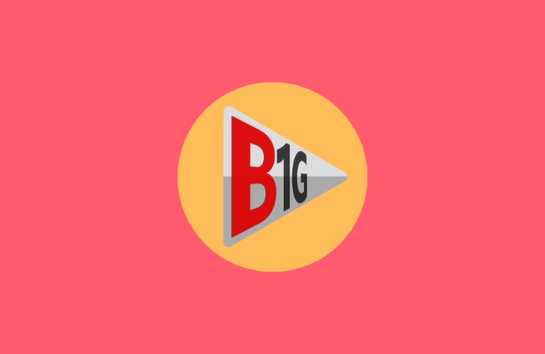 B1G IPTV Player
