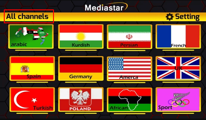 Mediastar IPTV Pro interface