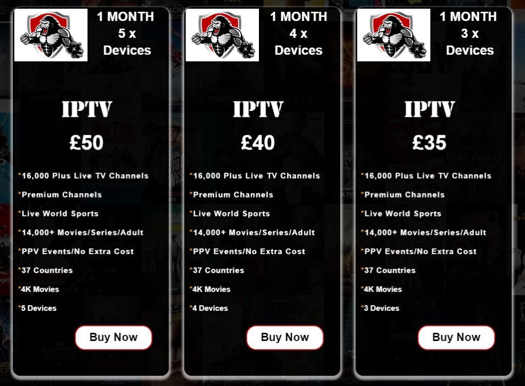 Snook Streams IPTV packages